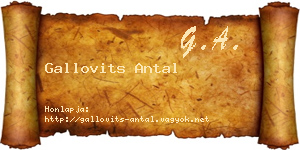 Gallovits Antal névjegykártya